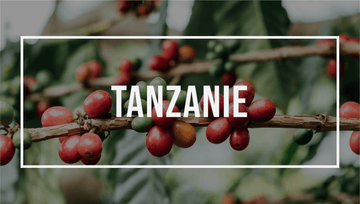 Afrique : Tanzanie