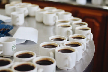 Comment goûter son café: les bases