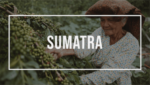 Indonésie: l'île de Sumatra
