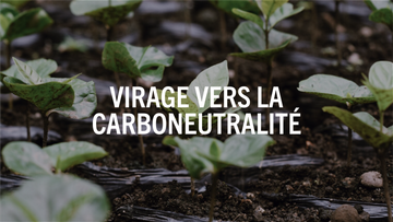 Virage vers la carboneutralité : comment nous compensons nos gaz à effet de serre