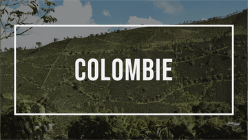 Amérique Latine : la Colombie