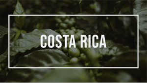 Amérique Latine : Costa Rica
