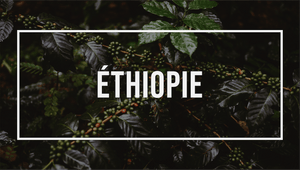 AFRIQUE : Éthiopie