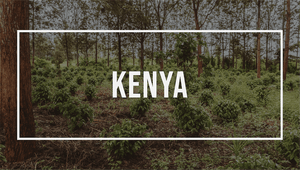 Afrique: le Kenya