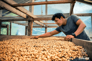 Notre implication Fairtrade : les coopératives