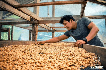 Notre implication Fairtrade : les coopératives