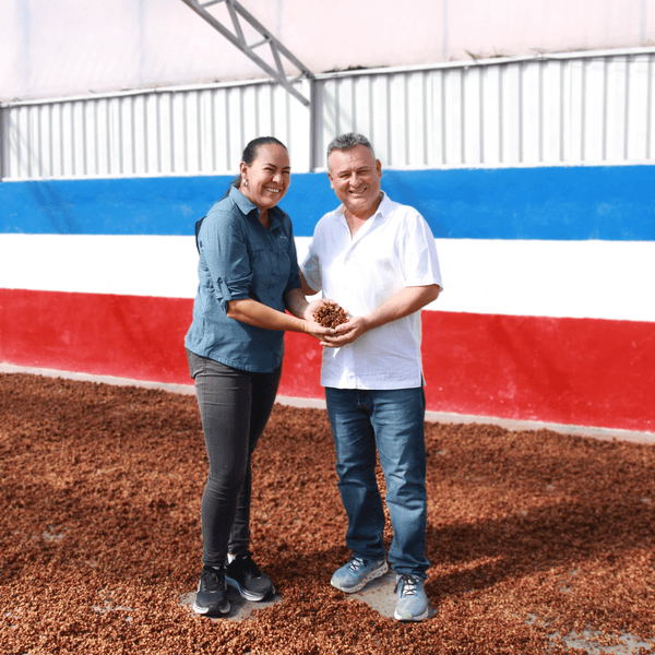 Las Lajas Perla Negra - Récolte 2026 Café